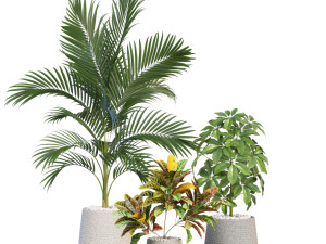 Plants collection 634 Modello 3D