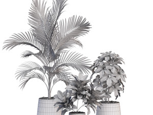 Plants collection 634 Modello 3D