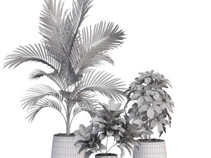 Plants collection 634 3D Model