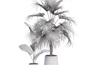 Plants collection 634 Modello 3D