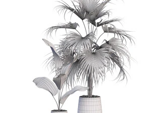 Plants collection 634 3D Model