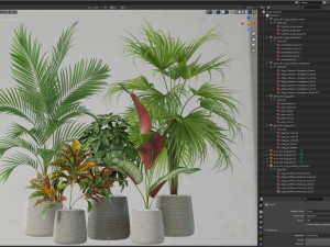 Plants collection 634 Modello 3D