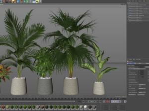 Plants collection 634 Modello 3D