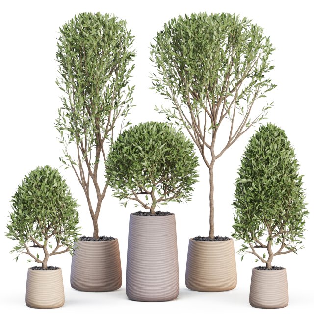 Plants collection 635 3D Модель .c4d .max .obj .3ds .fbx .stl .blend 