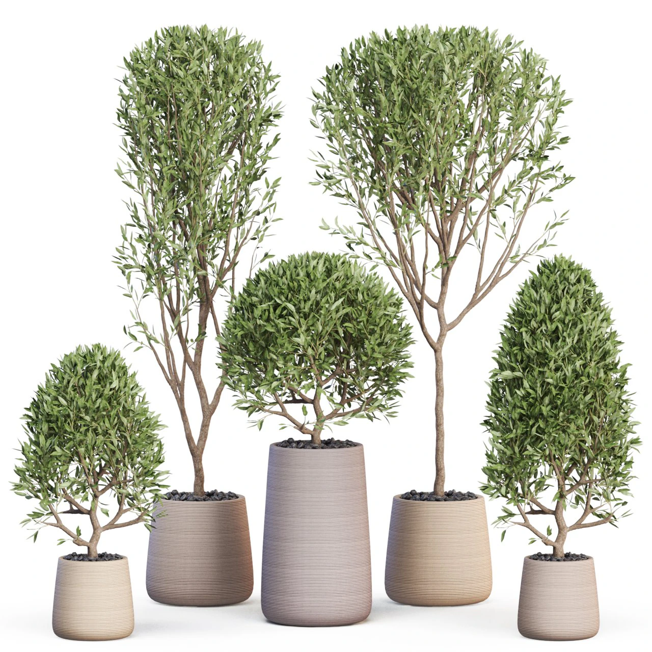 Plants collection 635 3D Model .c4d .max .obj .3ds .fbx .stl .blend 