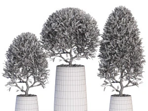 Plants collection 635 3D Model