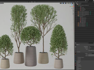 Plants collection 635 3D Model
