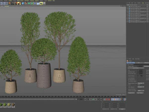 Plants collection 635 3D Model