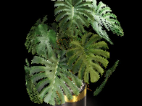 Plants collection 636 3D Model