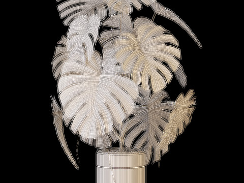 Plants collection 636 Model 3D