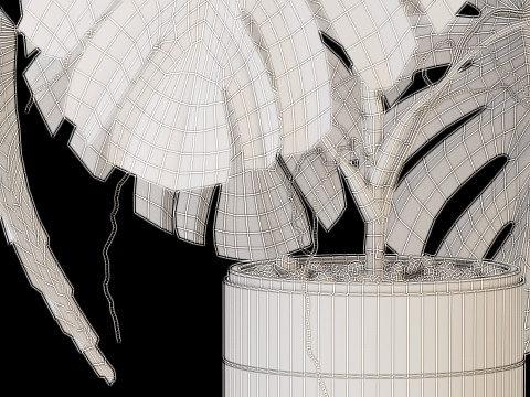 Plants collection 636 Model 3D