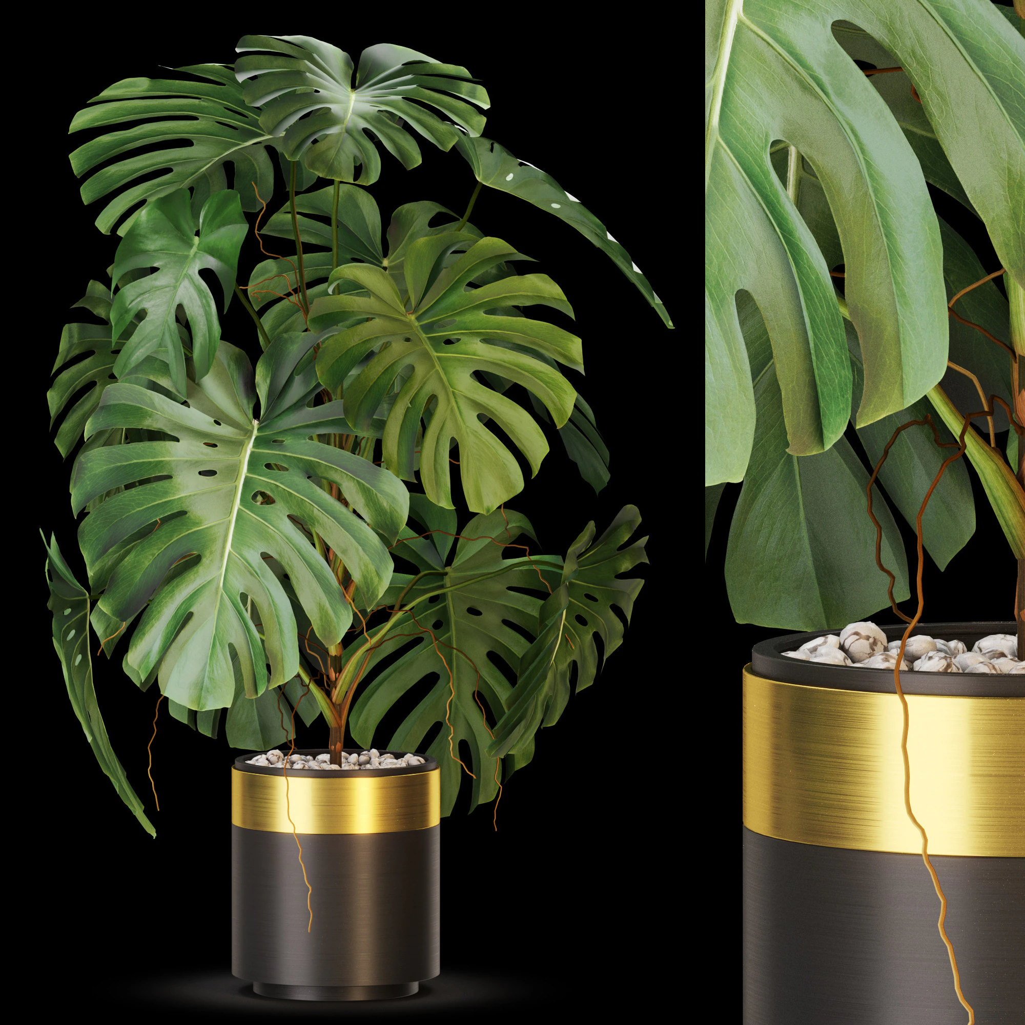 Plants collection 636 3D Model .c4d .max .obj .3ds .fbx .stl .blend 