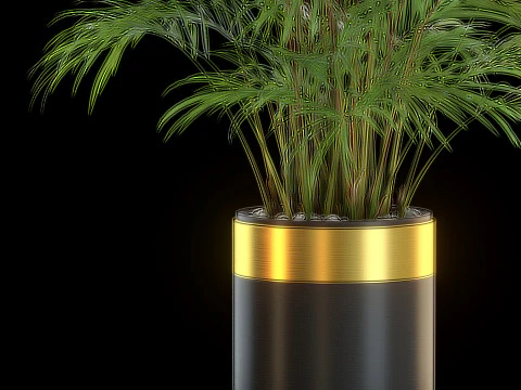 Plants collection 637 3D Model