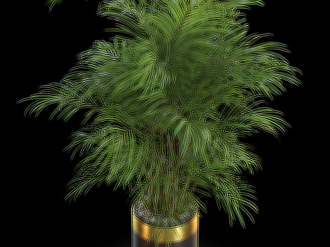 Plants collection 637 Modèle 3D