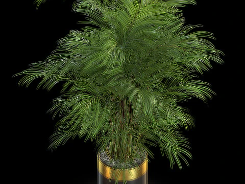 Plants collection 637 3D Model