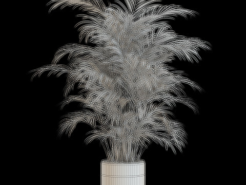Plants collection 637 Modèle 3D