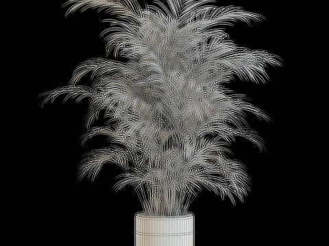 Plants collection 637 3D Model