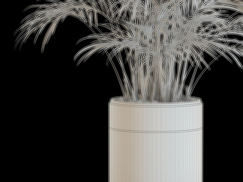 Plants collection 637 Modèle 3D