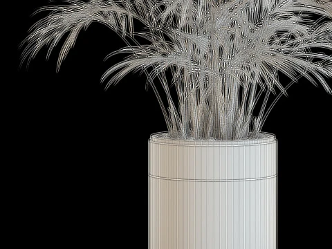 Plants collection 637 3D Model