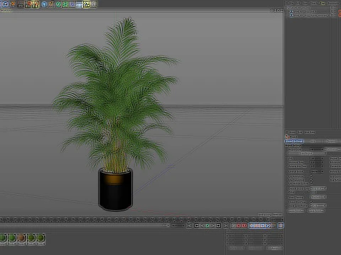 Plants collection 637 3D Model