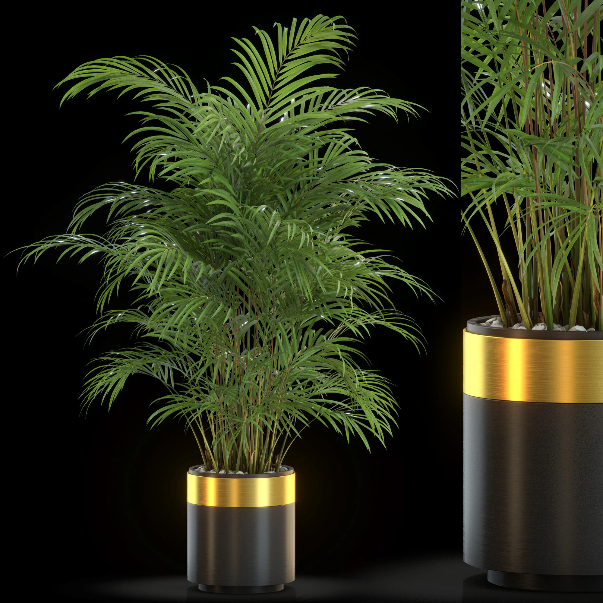 Plants collection 637 3D Model .c4d .max .obj .3ds .fbx .stl .blend 