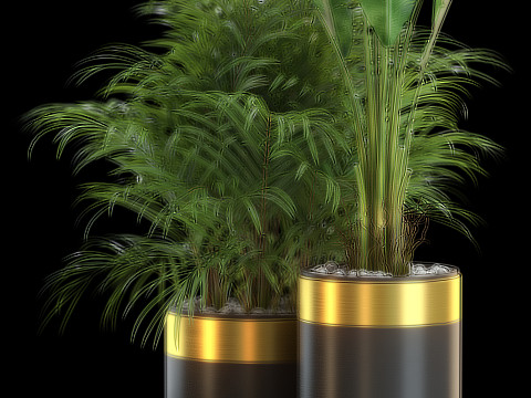 Plants collection 638 3D Model