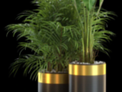 Plants collection 638 3D Model