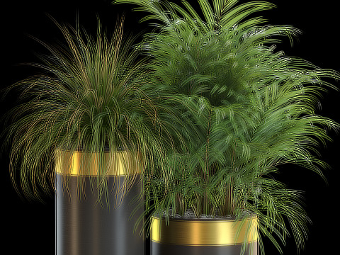 Plants collection 638 3D Model