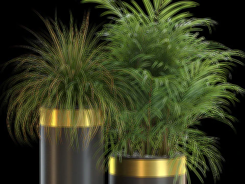 Plants collection 638 3D Model