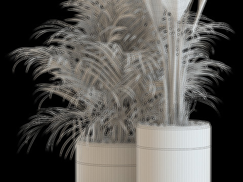 Plants collection 638 3D Model