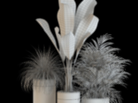 Plants collection 638 3D Model