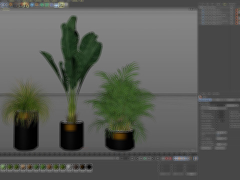 Plants collection 638 3D Model