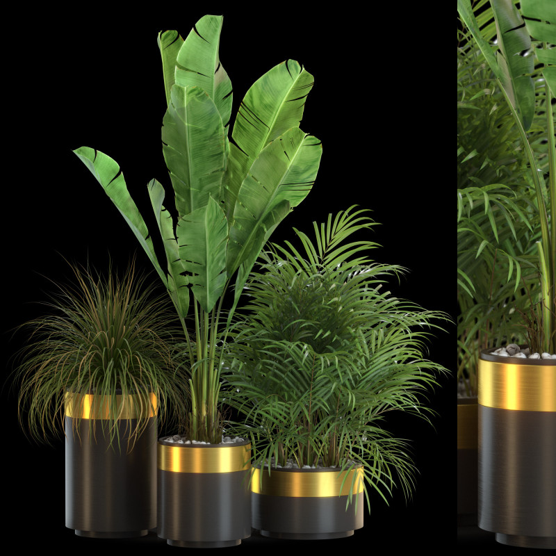 Plants collection 638 3D Model .c4d .max .obj .3ds .fbx .stl .blend