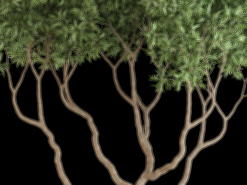 Plants collection 639 3D Model