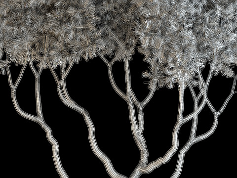 Plants collection 639 3D Model