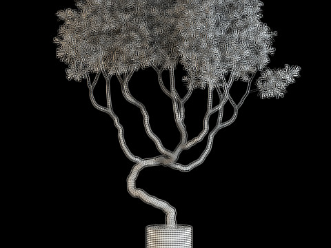 Plants collection 639 3D Model
