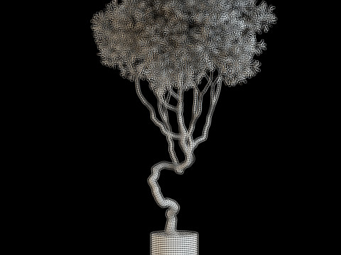 Plants collection 639 3D Model