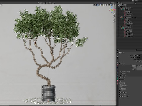 Plants collection 639 3D Model