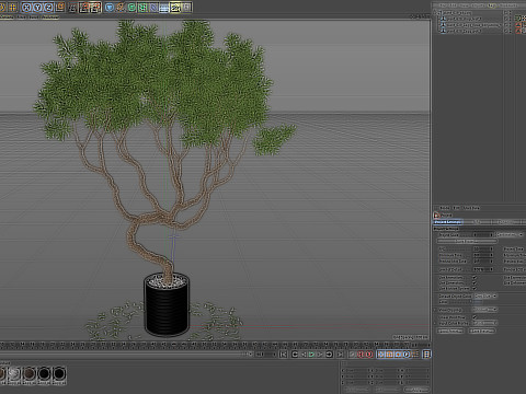Plants collection 639 3D Model