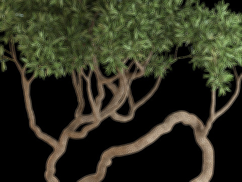 Plants collection 640 3D Модель