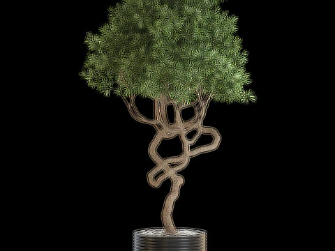 Plants collection 640 3D Model