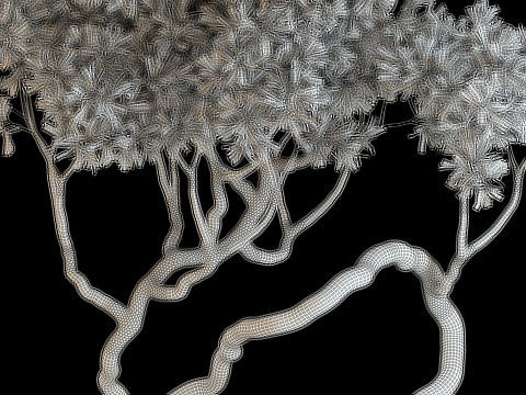 Plants collection 640 3D Модель