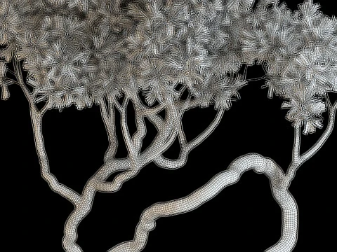 Plants collection 640 3D Model