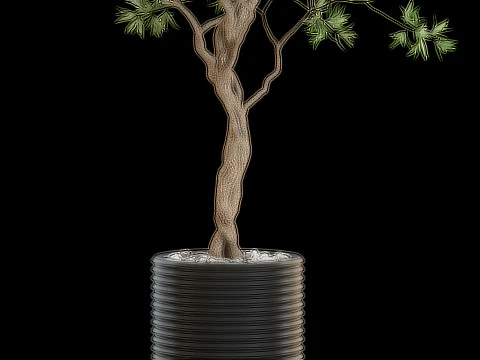 Plants collection 641 3D Model