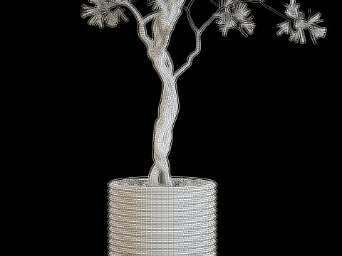 Plants collection 641 3Dモデル