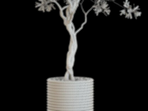 Plants collection 641 3D Model
