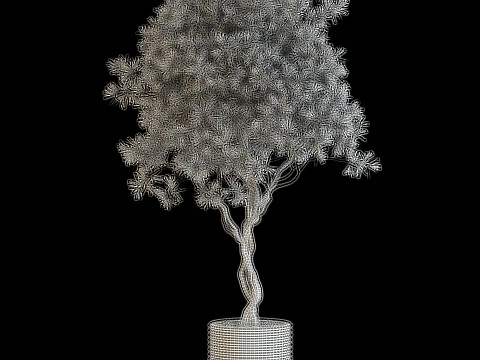 Plants collection 641 3D Model