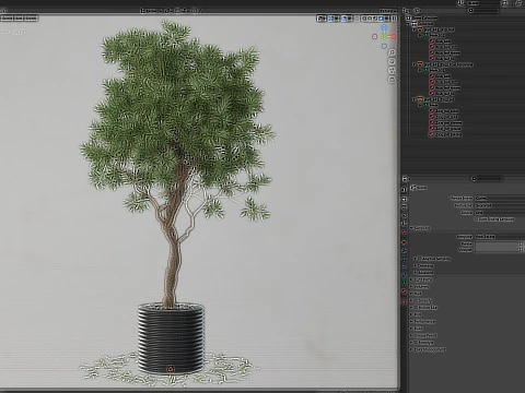 Plants collection 641 3D Model