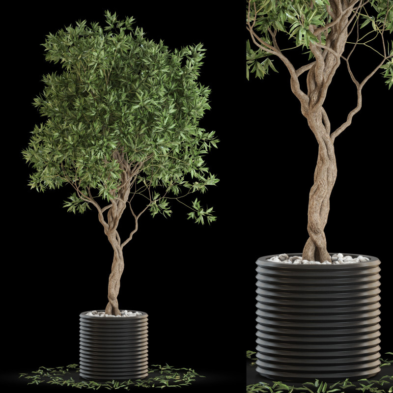 Plants collection 641 3Dモデル .c4d .max .obj .3ds .fbx .stl .blend 