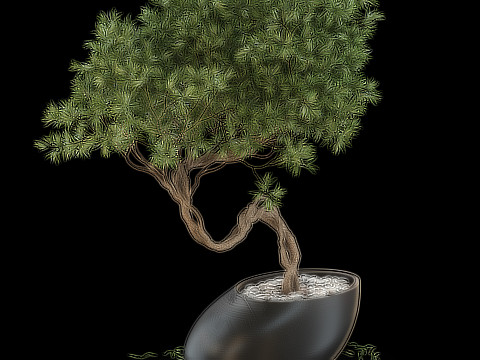 Plants collection 642 3D Model